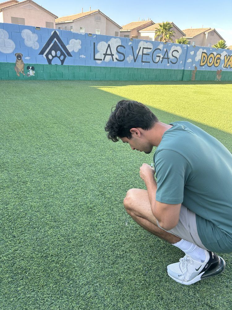 PureGrove technician servicing turf at Las Vegas Dog Yard