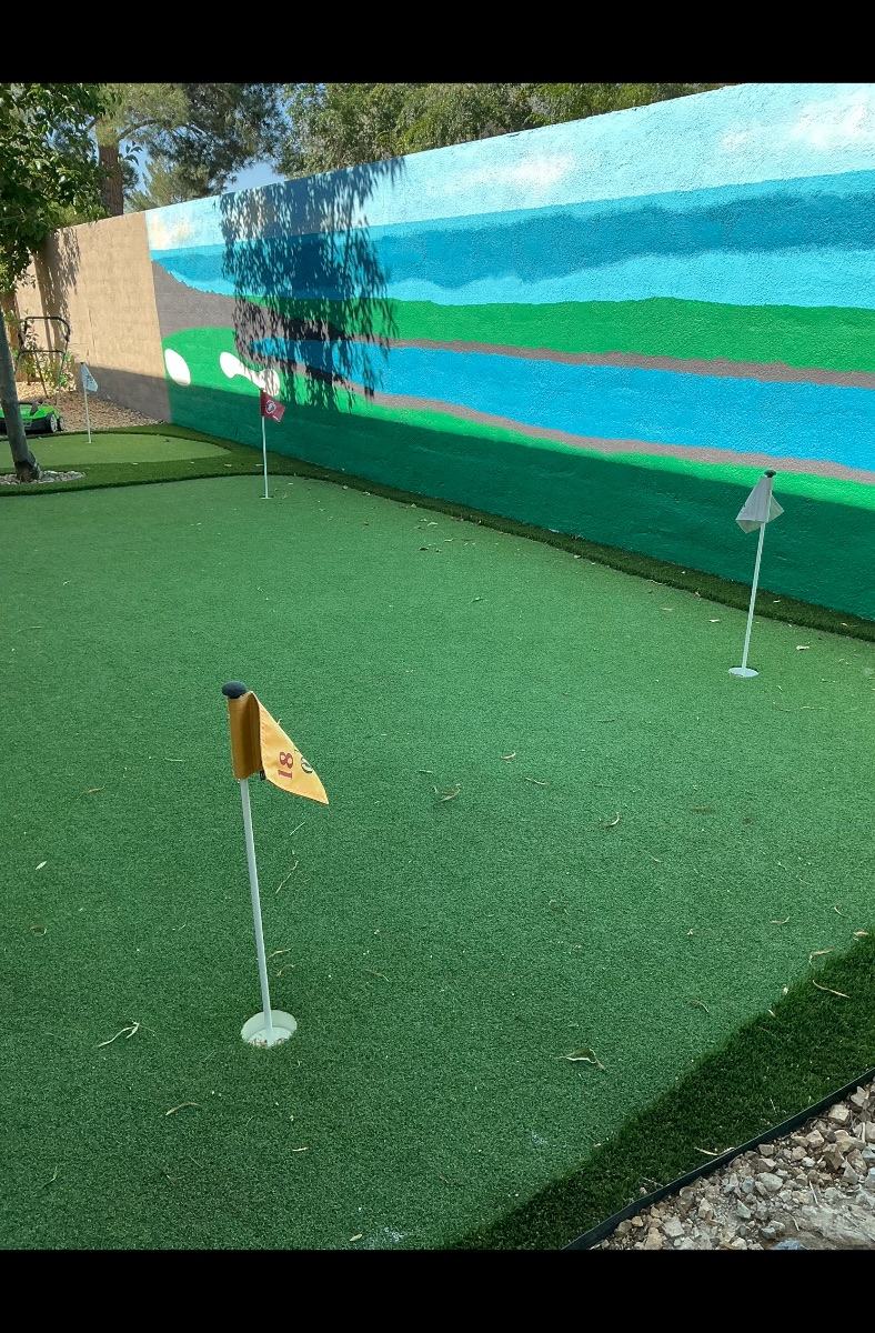 Las Vegas pet area before PureGrove turf cleaning