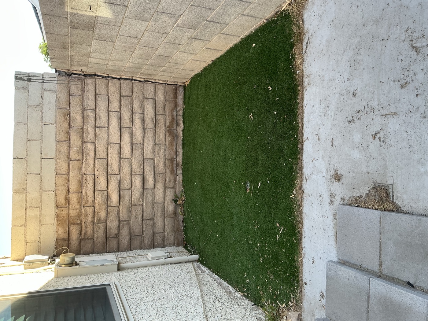 Las Vegas yard before PureGrove turf cleaning
